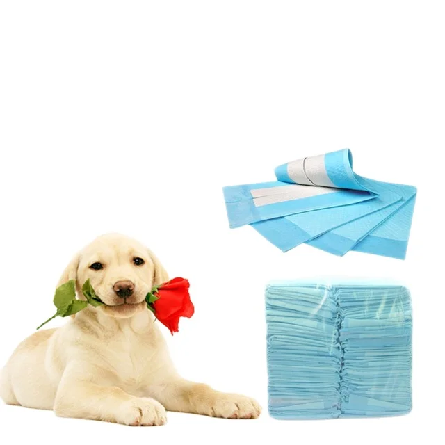 
Online shopping disposable pet training pad & pet pee pad from China  (1600304755308)