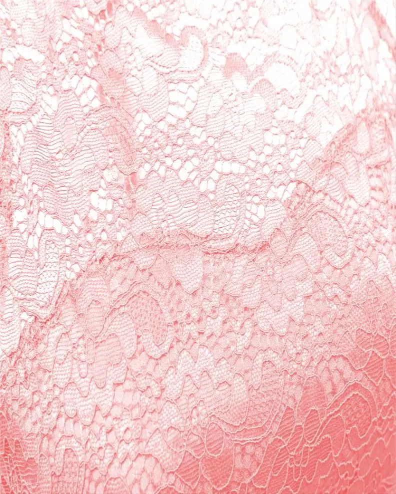 2019 Woman Apparel Lace Upper Scoop Skater Dress Bride Mother Dresses