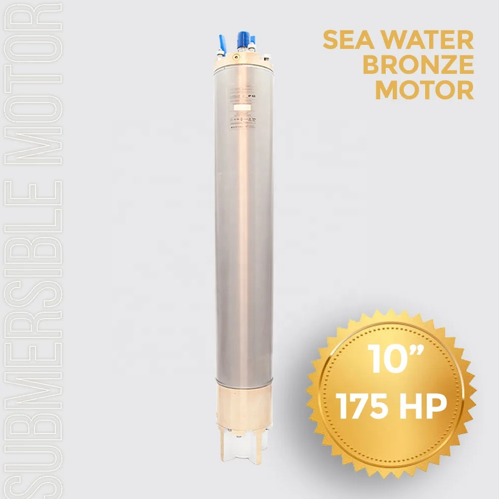 Submersible Pump Motor 10 INCH 175HP (129KW) (Cast Iron, Stainless Steel, Bronze, E-Series Plus)