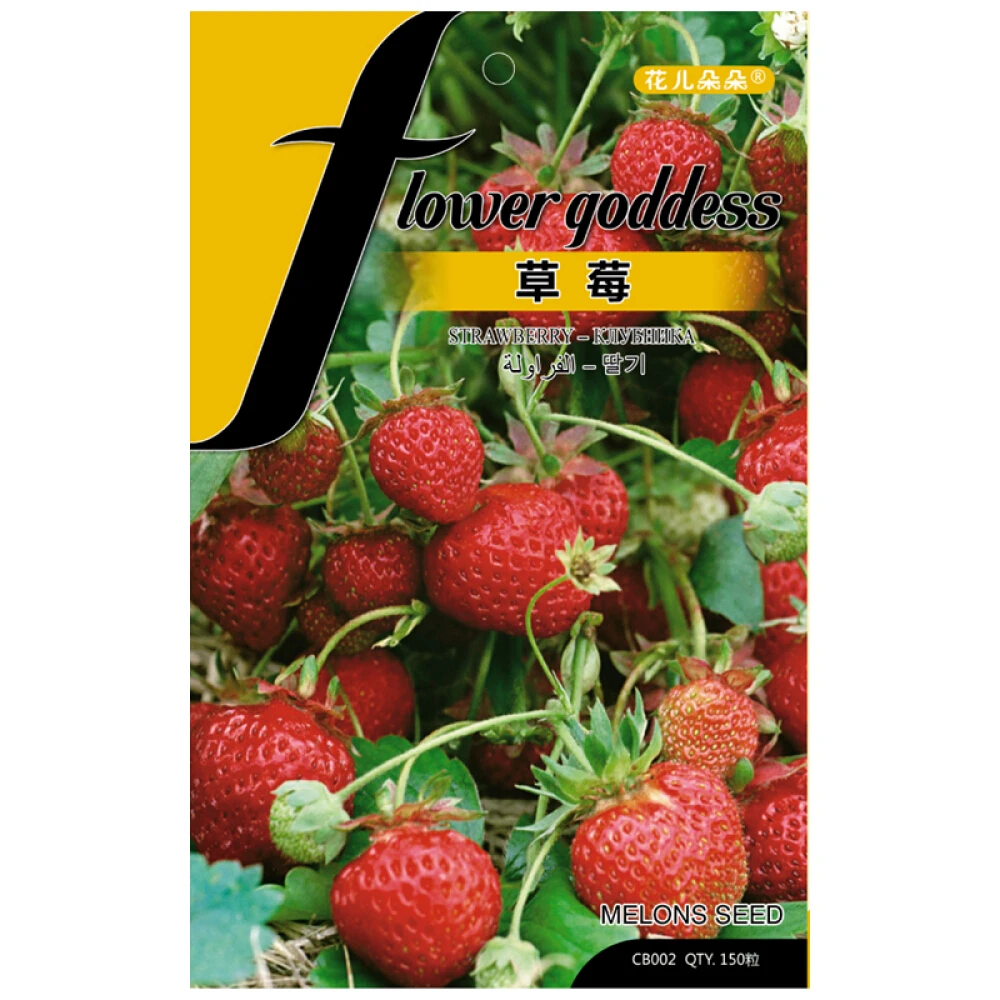 Good Packing Fruit Seeds for Sowing with Good Taste Red Strawberry Seed Fruit
