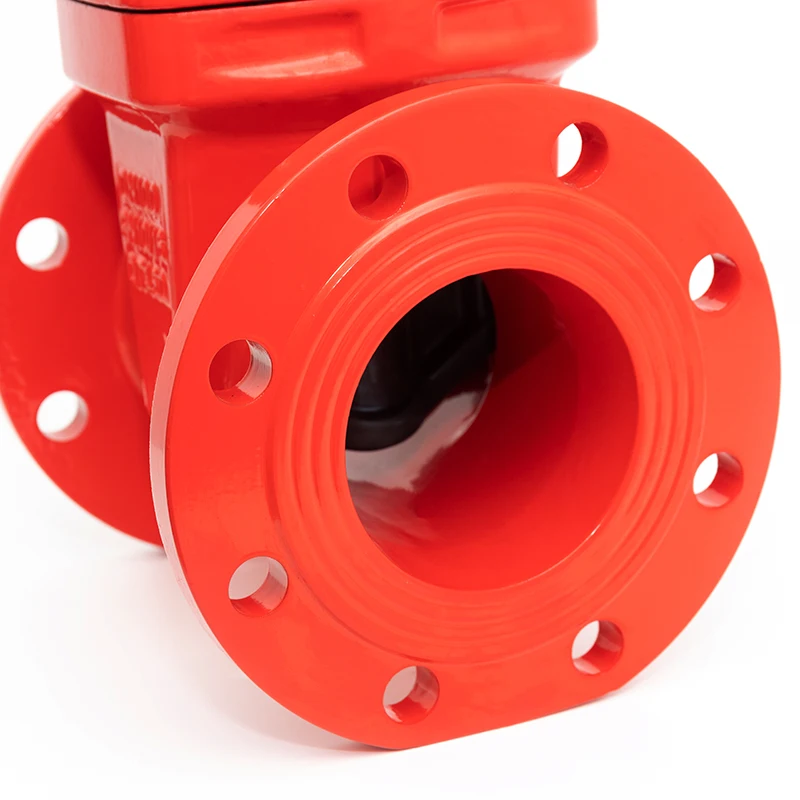 Customizable DN100 Ductile Iron Flanged OS&Y Gate Valve Nodular Cast Iron Fire Fighting Water Valve High Competitive Price