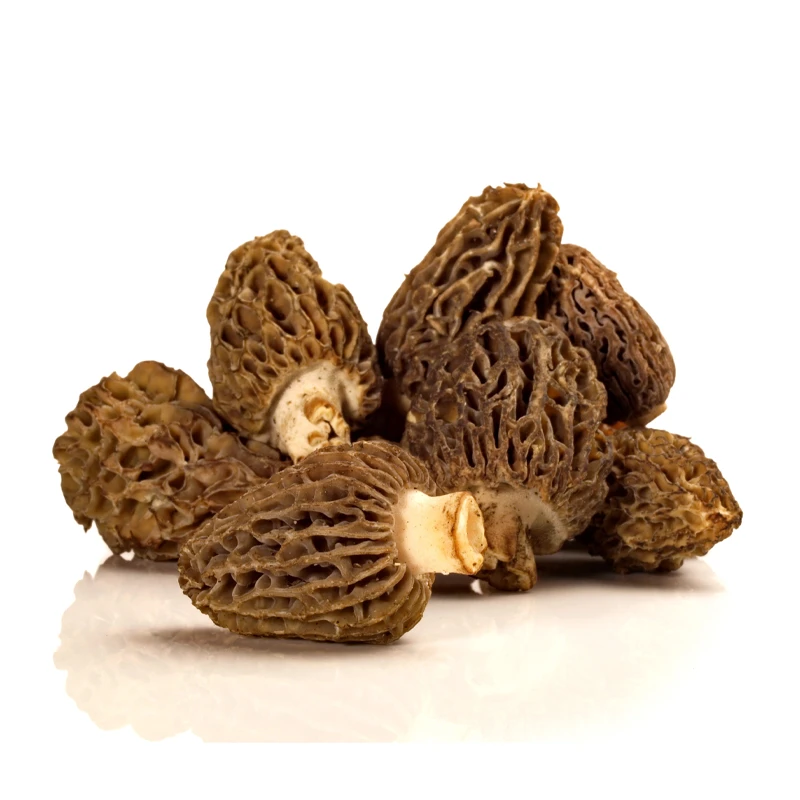 Оптовая продажа питательные и здоровые грибы продукты питания