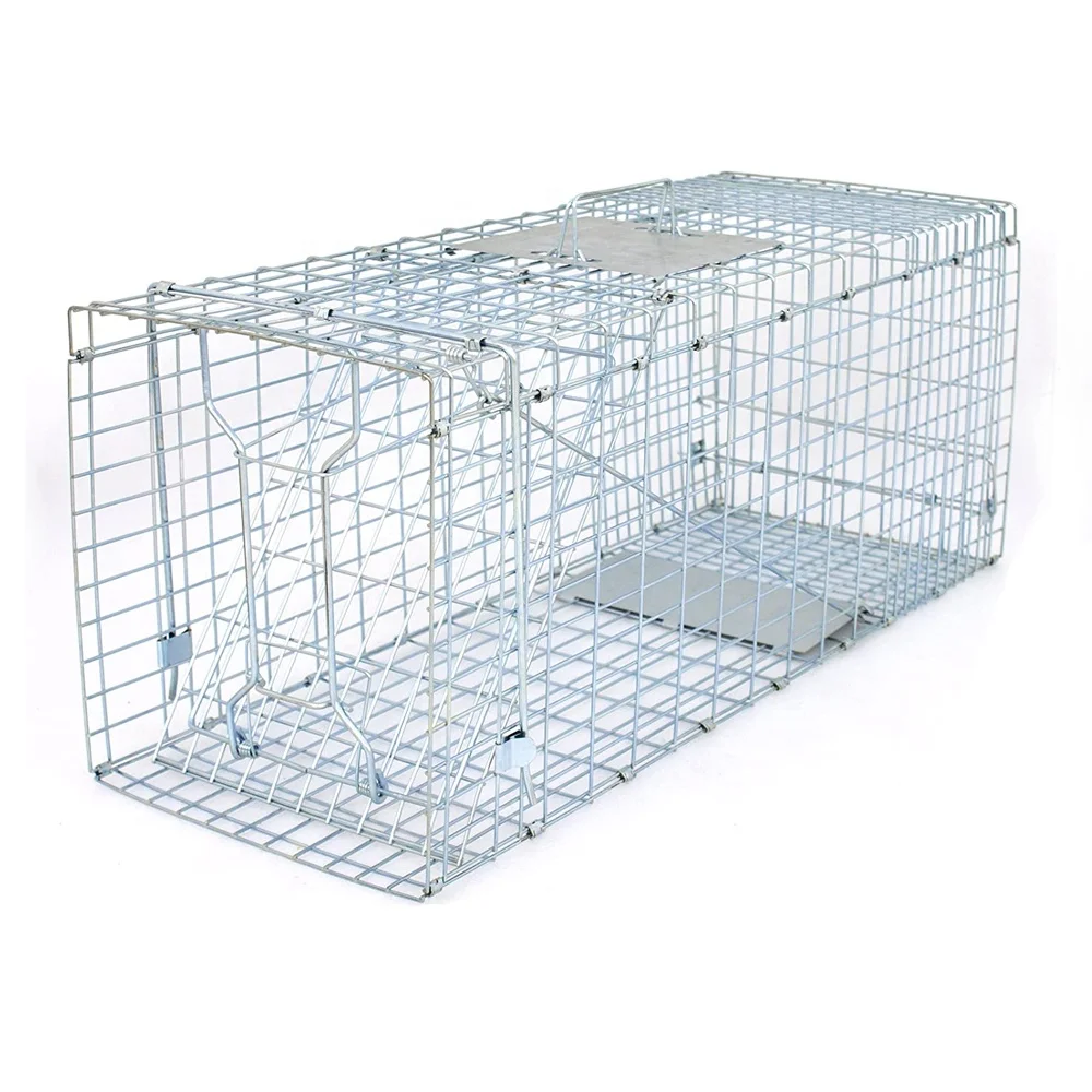 Catch and Release Humane Rodent Cage Medium Live Animal Trap Cage Squirrel Stray Cat Catcher