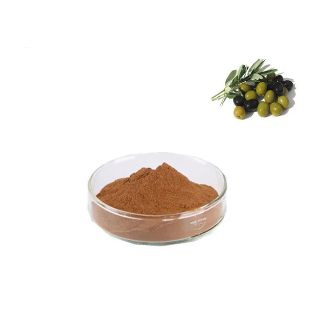 High purity Oleuropein  Olive Leaf Extract 1%-98% manufacture supply CAS 32619-42-4