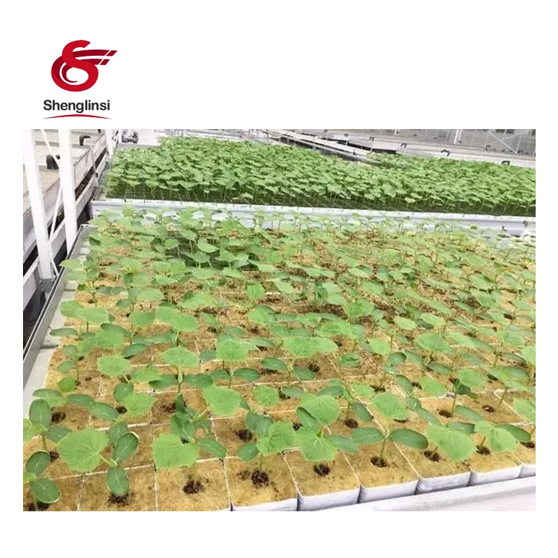 Shenglinsi  aquaponics system indoor cultivation agricultural greenhouses grow cubes rock wool hydroponic