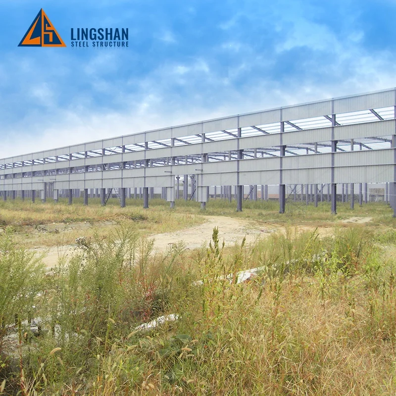 Large Span DWG Design Prefab Steel Structure Construction Hangar Workshop Building