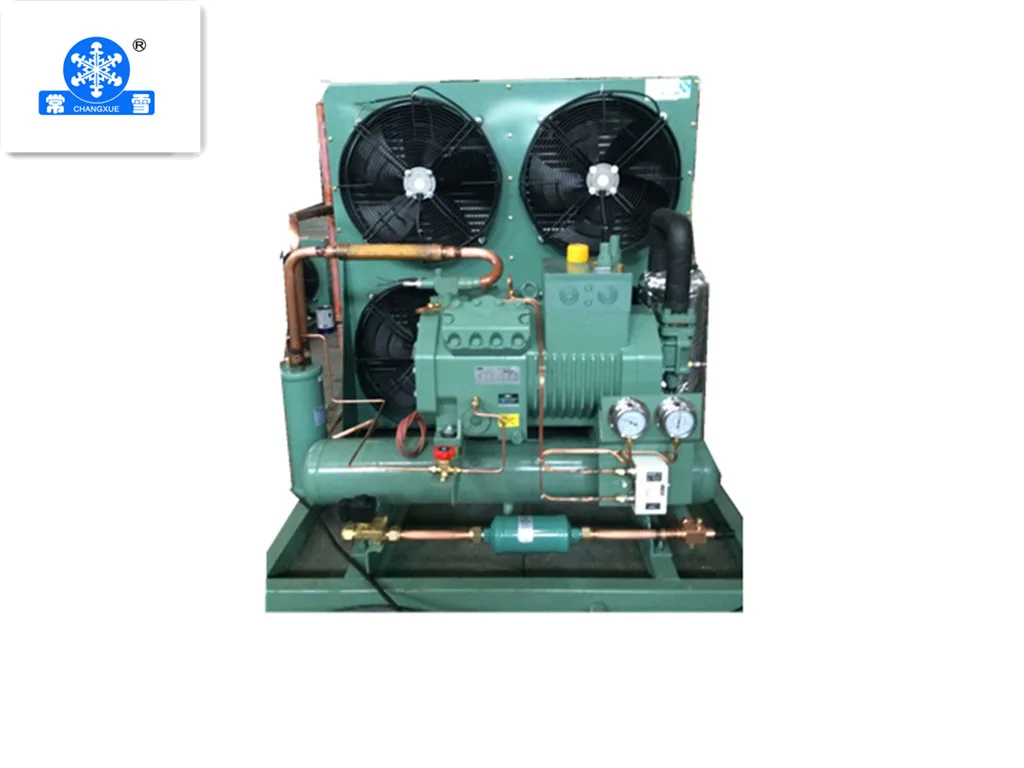 Professional Negative cold room freezer cold storage  unit project