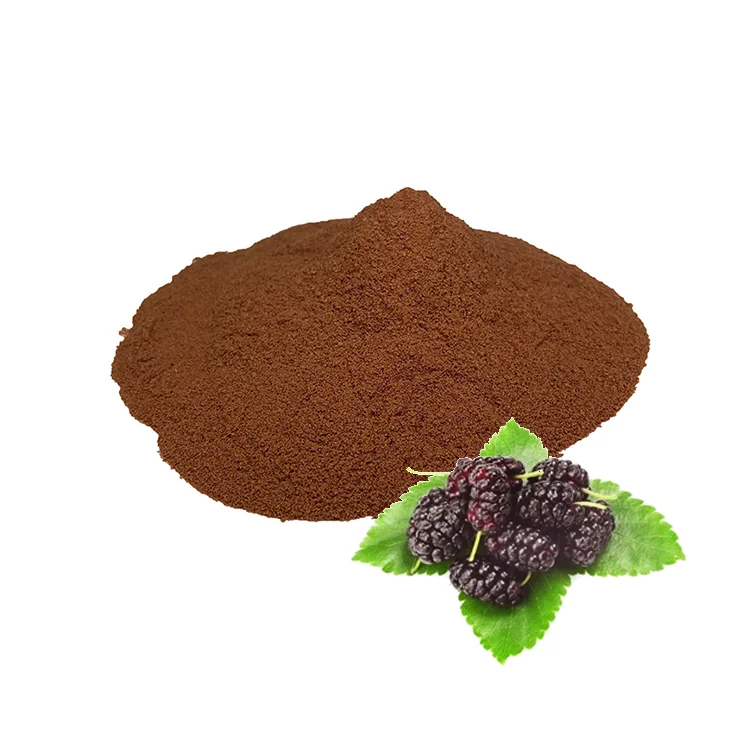 100% factory supply fresh high quality leaf root dried powder paper mulberry fruit extract