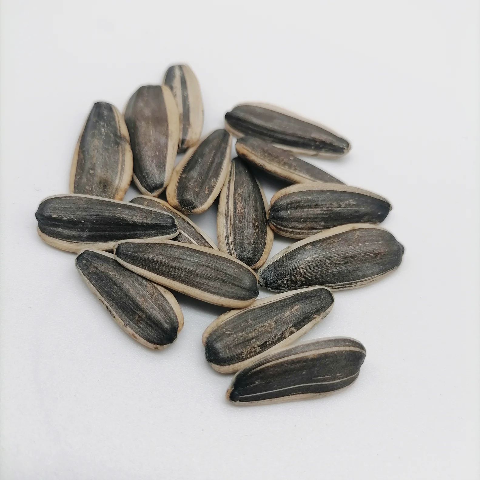 
For human food newly crop purple sunflower seeds 25kgs 