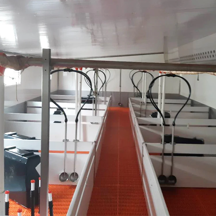 Best Galvanized Pig Weaner Nursery Crate Piggery Farm Equipment Piglet Cages Pig Pen Design for Sale