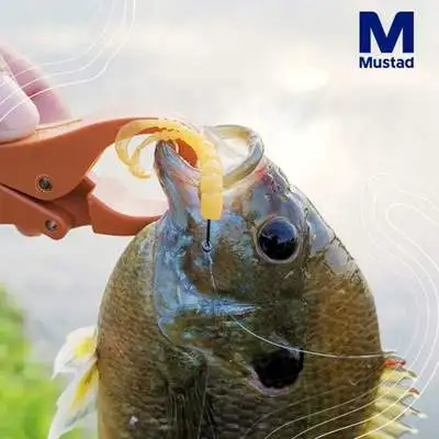 Free samples Mustad AJW-CHK 15PCS/BAG Mustad Fishing Soft Bait Lures Soft Bait Molds Fishing Soft Plastic Lures