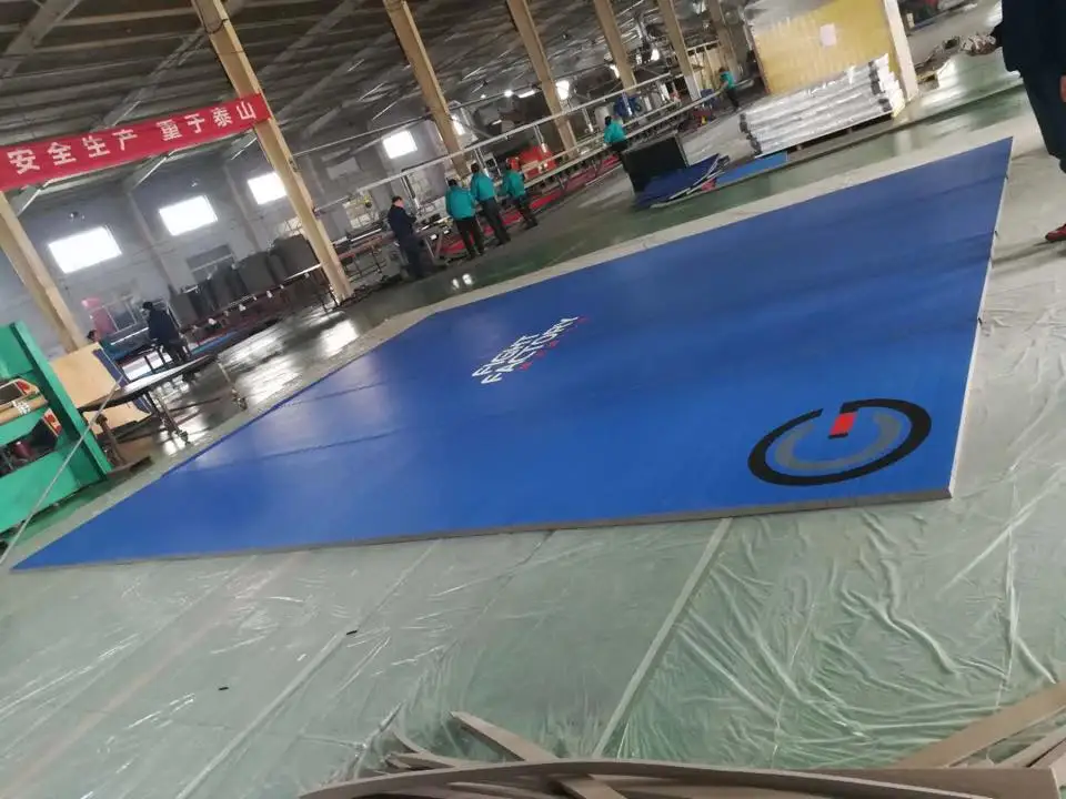 Lyqueen Taishan Gymnastics Mats Wrestling Mats 10x10 ft Sponge Gymnastics Mats