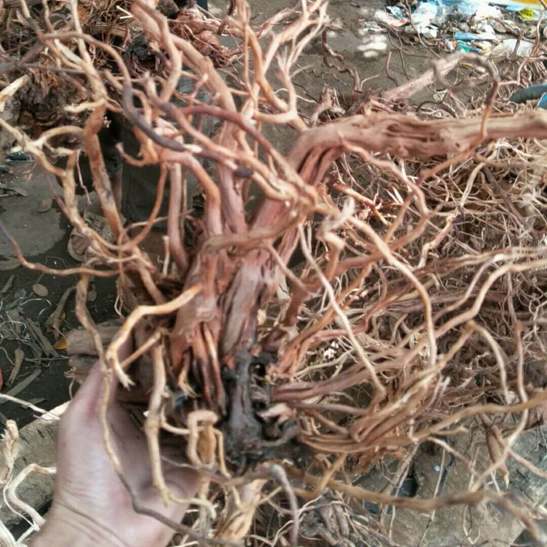 Many branches Rattan Wood Natural Driftwood Aquarium Fish Tank Plant Aquarium For Decorative