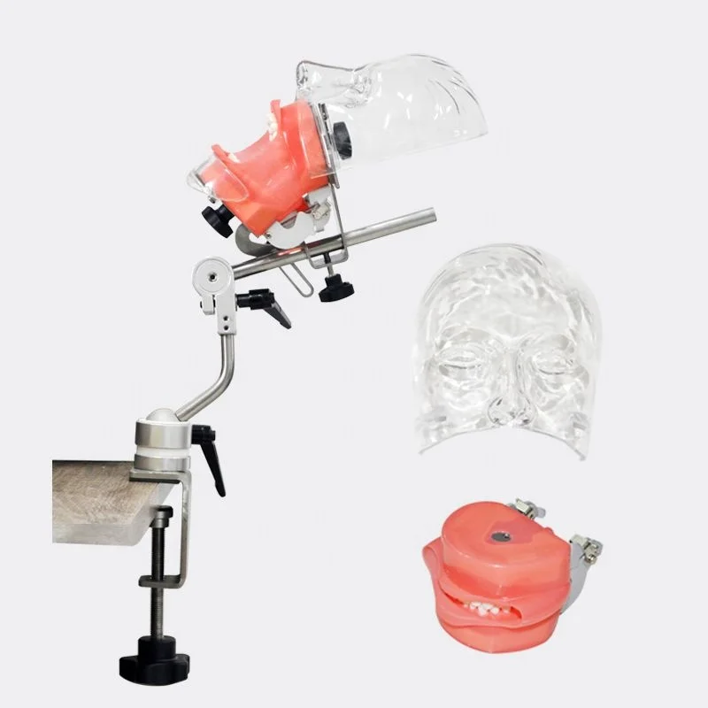 Dental school university students training simulator practice system phantom model studying with Tooth Models