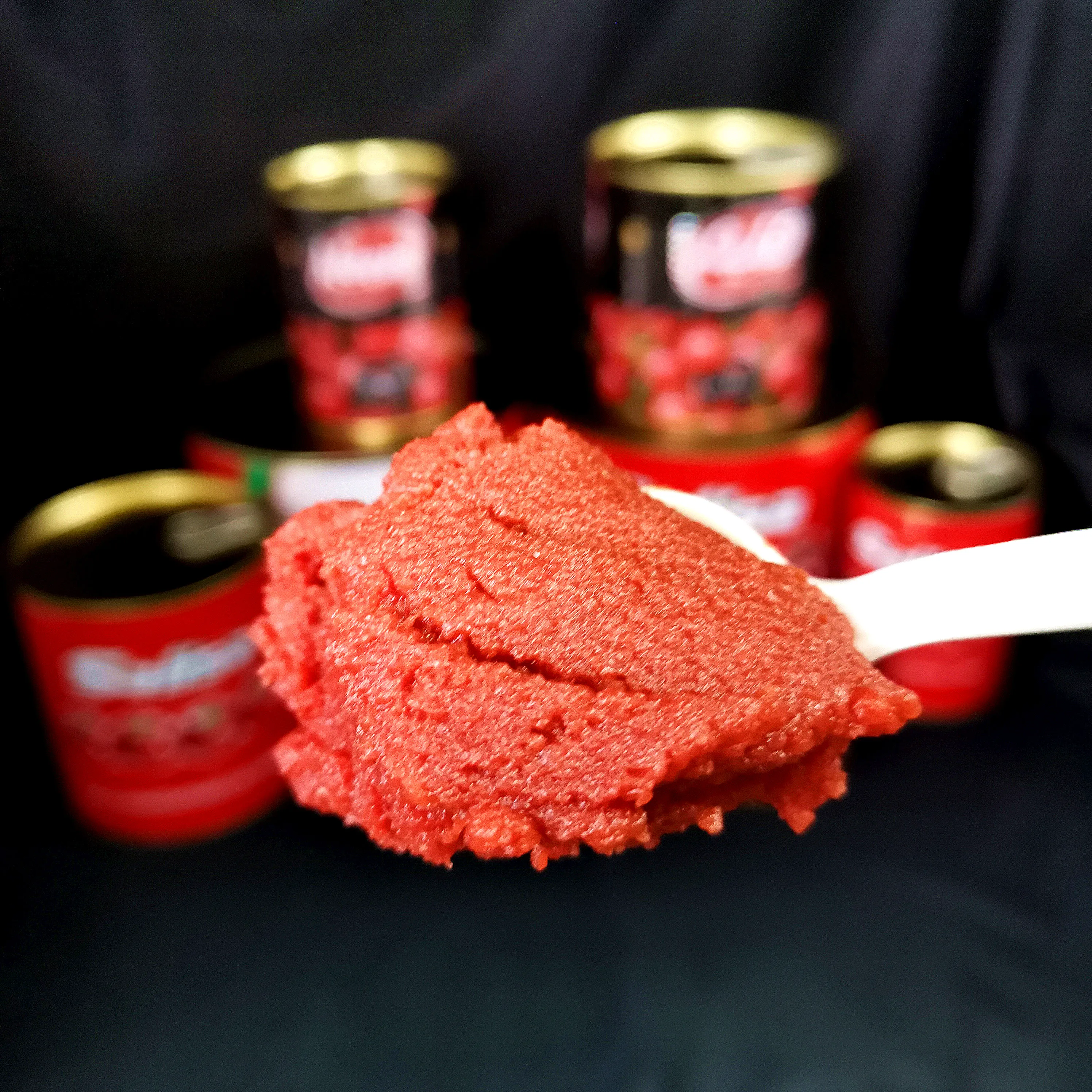 28-30% brix tomato paste 70g 2200g tin double concentrated tomato past Easy open tomato paste for halal african food cooking