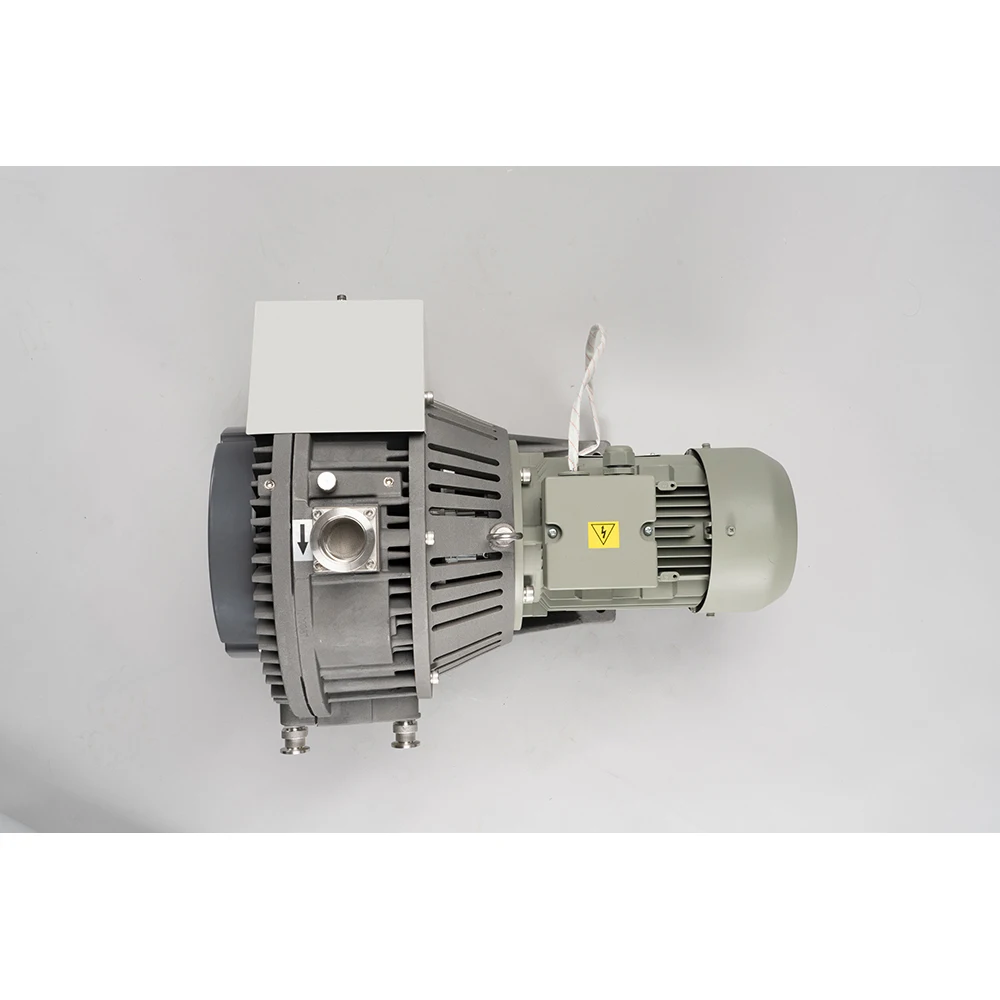 35.8cfm 0.01mbr GEOWELL GWSP1000 небольшой сухой вакуумный насос с более низким конечным давлением низкое энергопотребление низкий уровень шума
