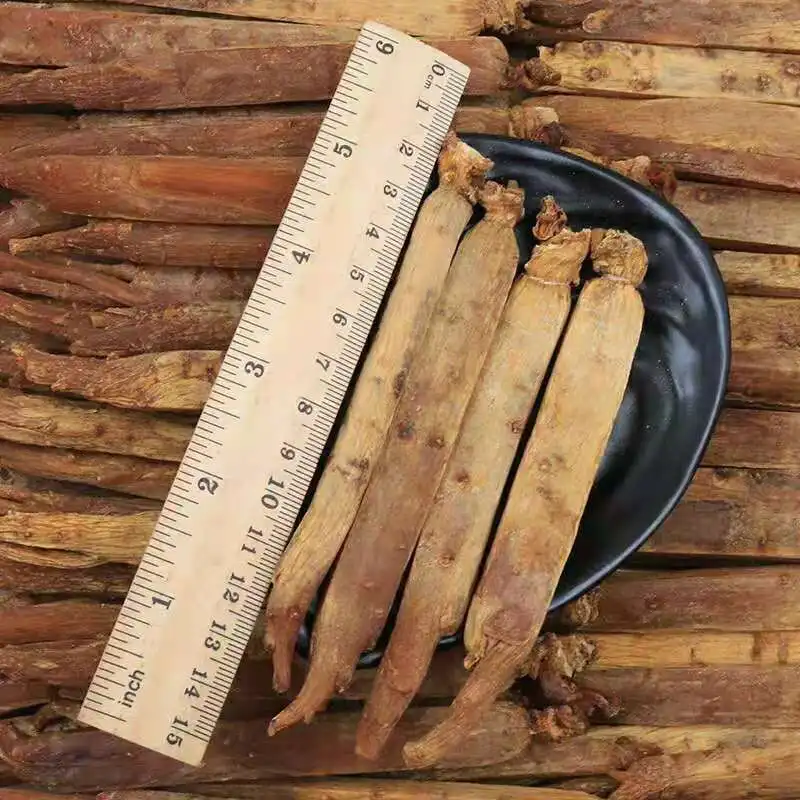 Free Sample Slice 6 Years Old Korean Ginseng Panax Red Pure Red Ginseng