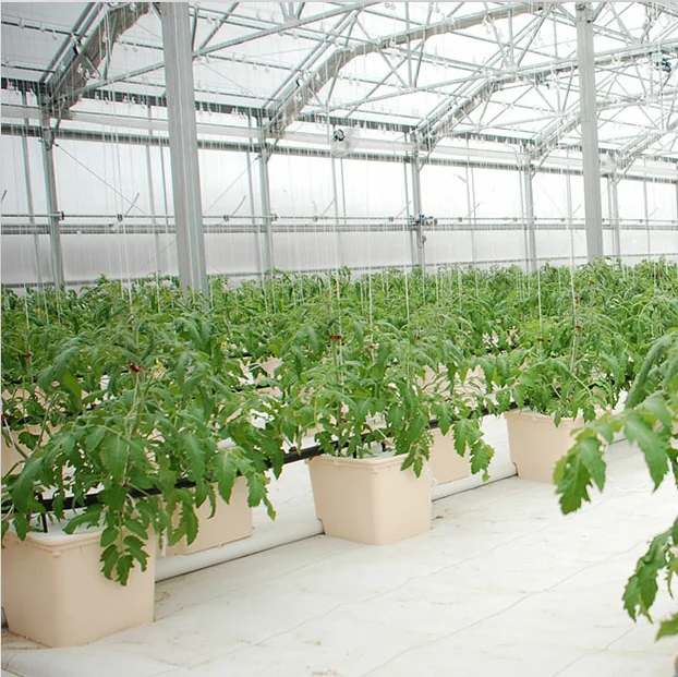 11Л голландские ведра гидропонный горшок для выращивания на продажу