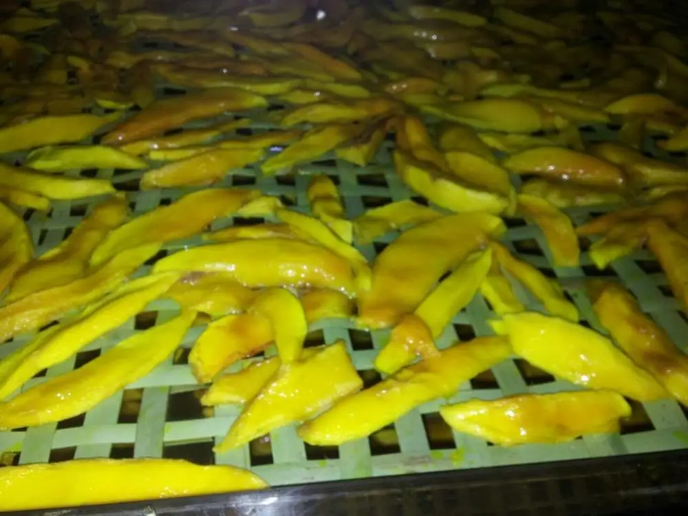 Hot Sales Belt Drying Machine vegetable Dryer dried  mango dryer