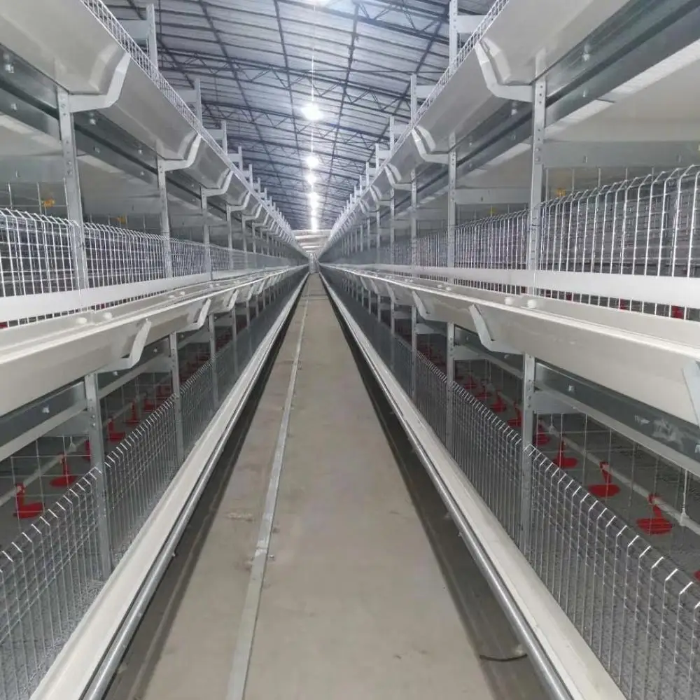 
Автоматическая птицеферма для дома, напольная линия для кормления, оборудование для кормления кур 