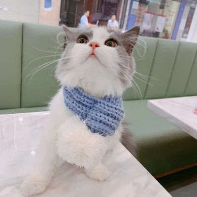 
Warm Winter Pet Dog Scarves Knitting Thicken Scarf Shawl Knit Collar Cat Christmas Scarf Grooming Accessories For Pets 