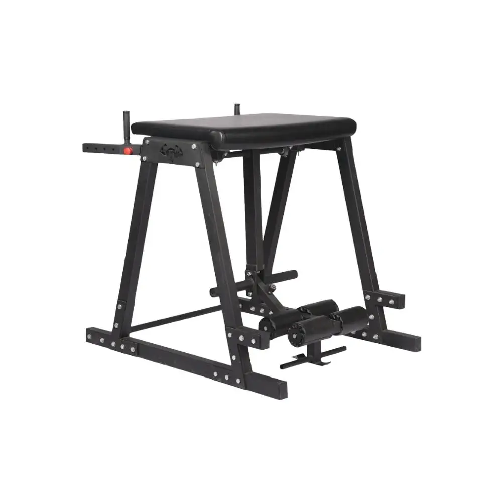 Sports equipment/machine gym /Reverse Hyper Extention