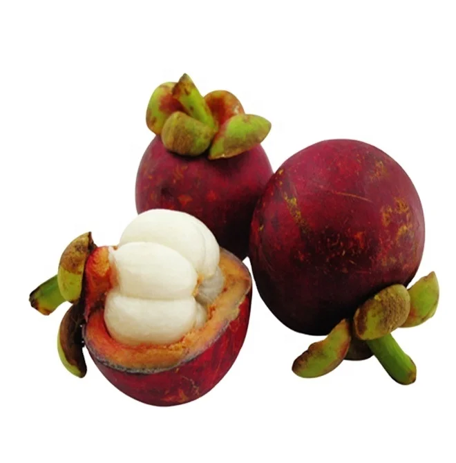 mangosteen peel extract