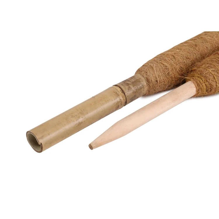 Durable using Plant Support Wooden End coir moss pole grow pole