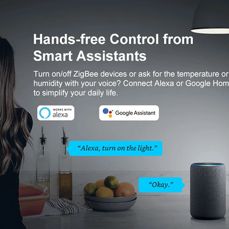 Sonoff ZBBridge Wifi and Zigbee Wireless Control Switch Work with SNZB-01 SNZB-02 SNZB-03 SNZB-04 Zigbee Dongle Zigbee Mini