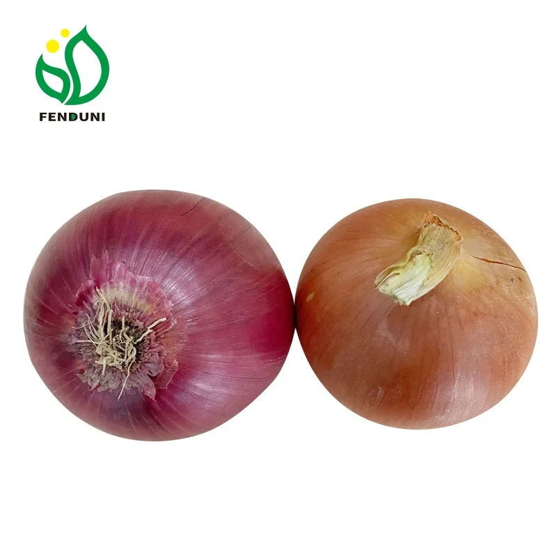 2024 New Crop Order Cheap Price Onion from China ( Red Onion/Yellow Onion)