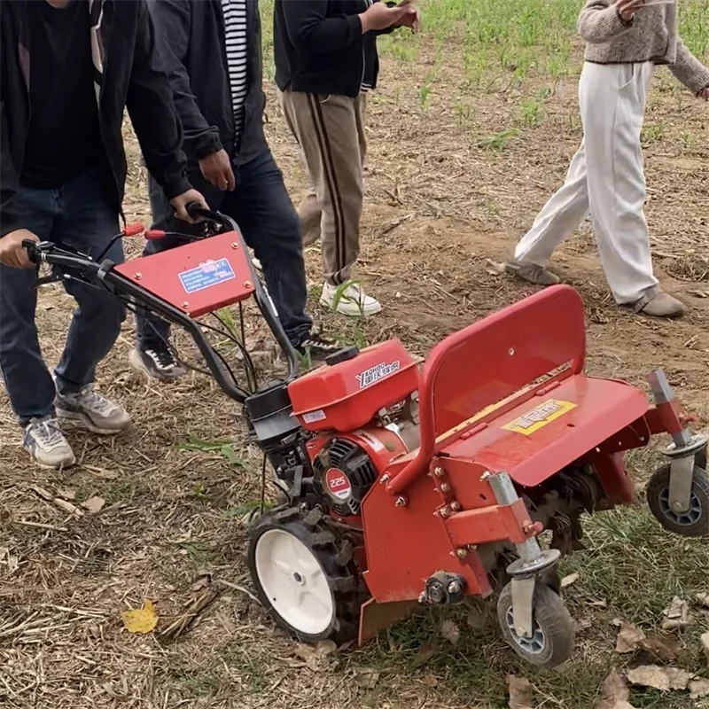 High Quality Garden Trimmer, Hand Push Tiller, Gasoline Engine, Rotary Tiller, Mini Lawn Mower, Grass Shredder