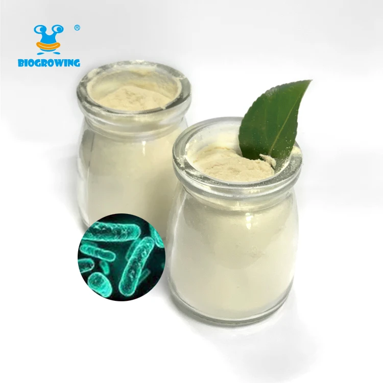 Высококачественный 200 миллиард cfu/g OEM пробиотики, порошок лактоbacillus helveticus