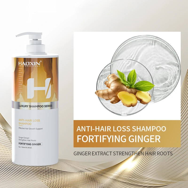 Top Best Quality HAOXIN Argan Oil Moisturizing Shampoo Shampoo 750 Ml Classic Clean All Kinds