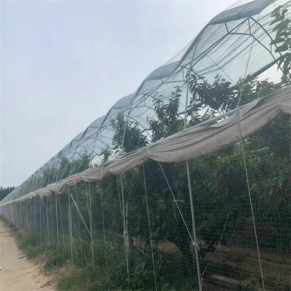 bird mist capture catching netting net bird nets for catching birds