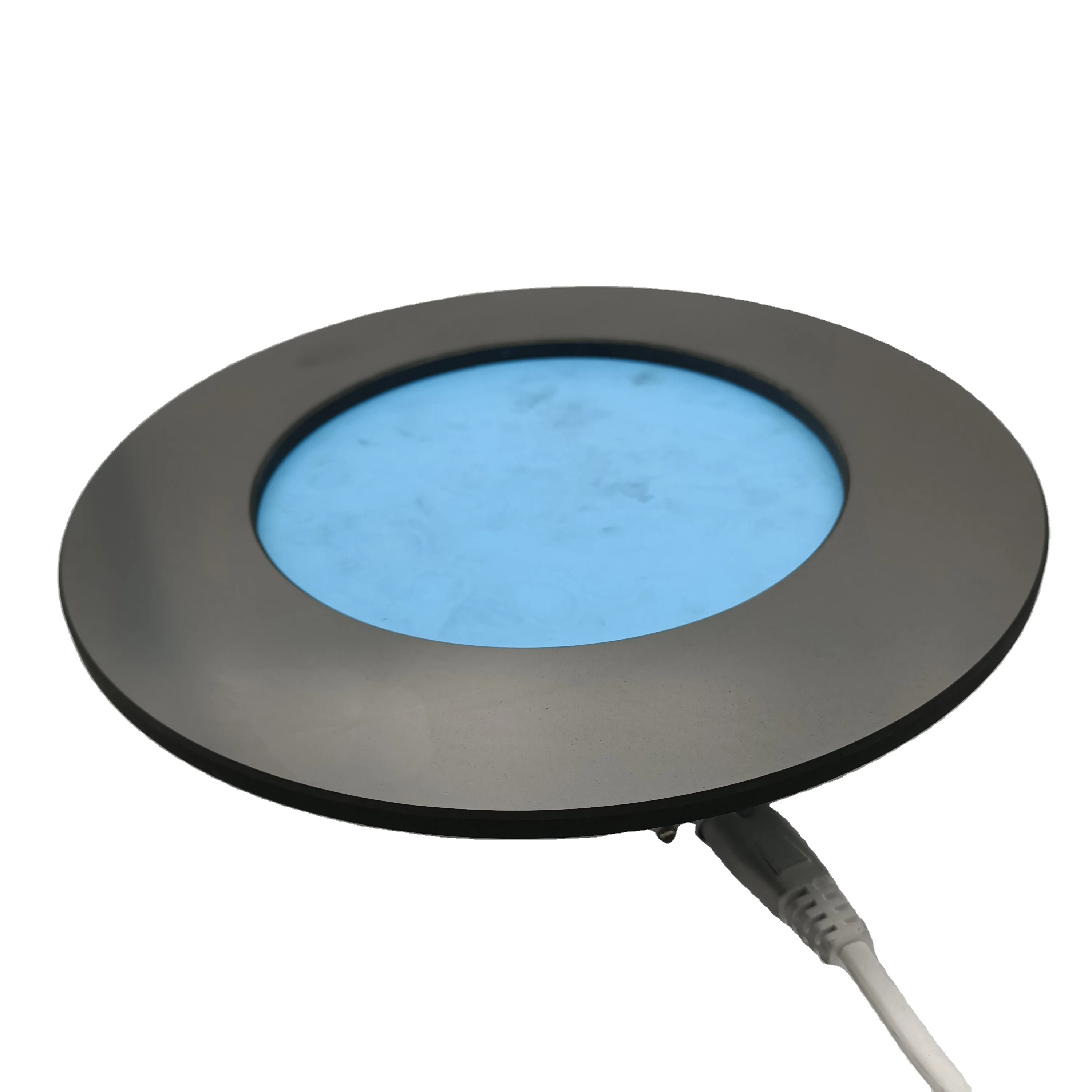 Corrosion resistant graphite ring