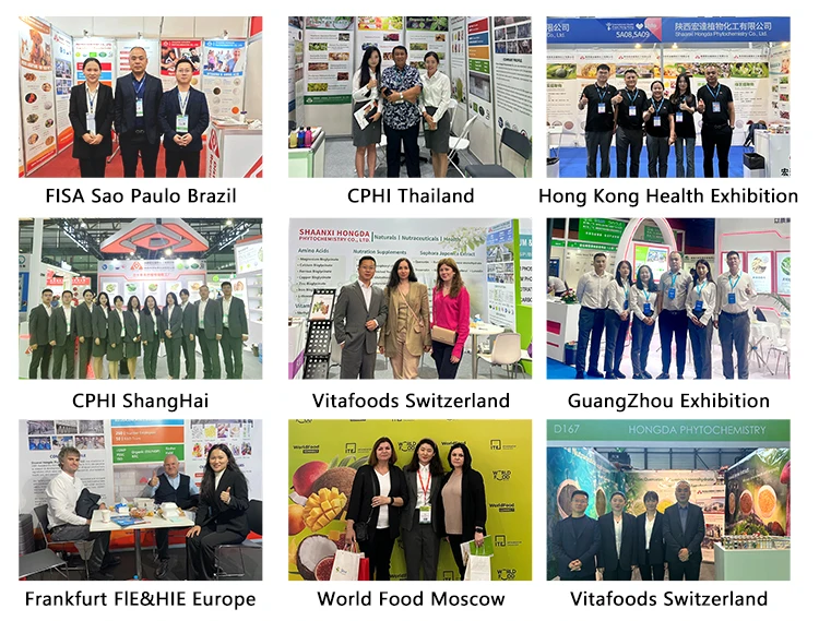 Wholesale Price 99% Food Grade L-Tryptophan Powder L Tryptophan Tryptophane Powder