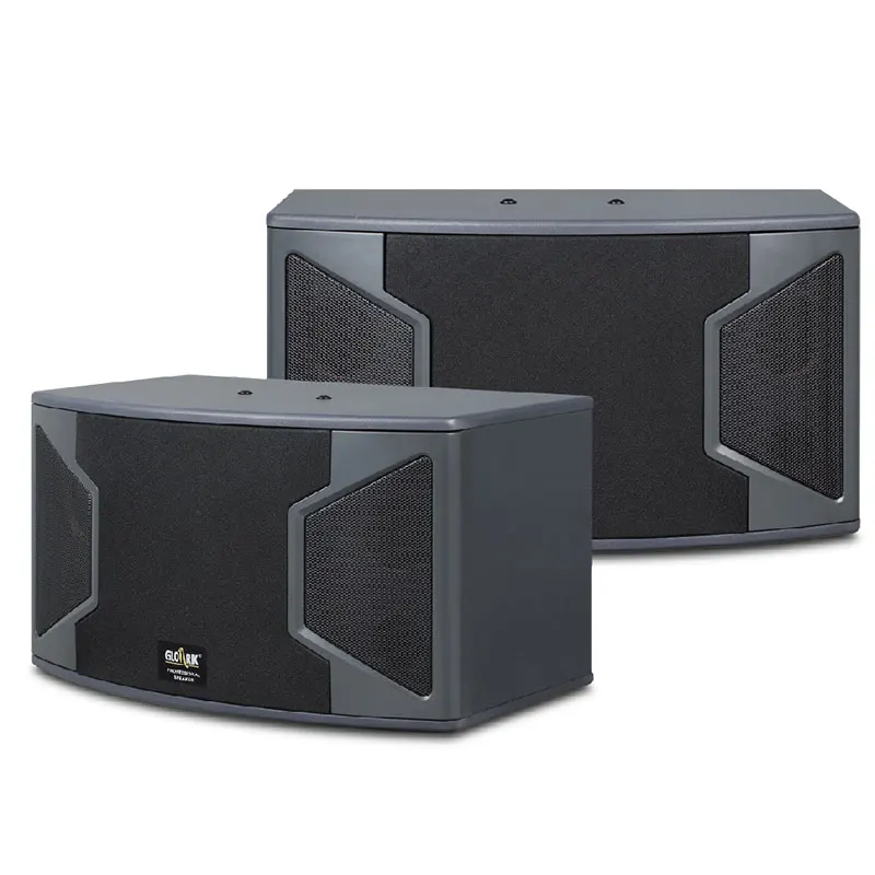 Professional Audio 10 Inch 200w 8ohm Karaoke Speaker For Conference Speech Stage Performance