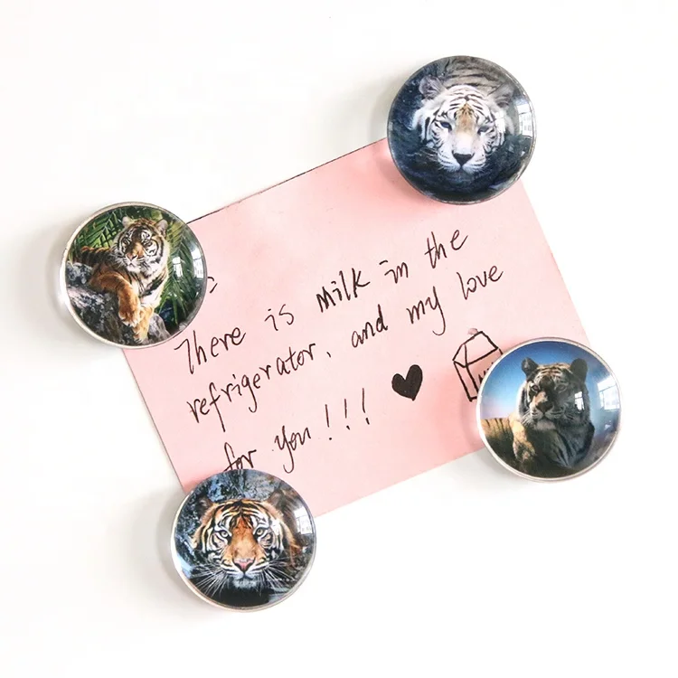 Персонализированный Магнит на холодильник LY Dome 3d для сувениров, африканская трава, тигр