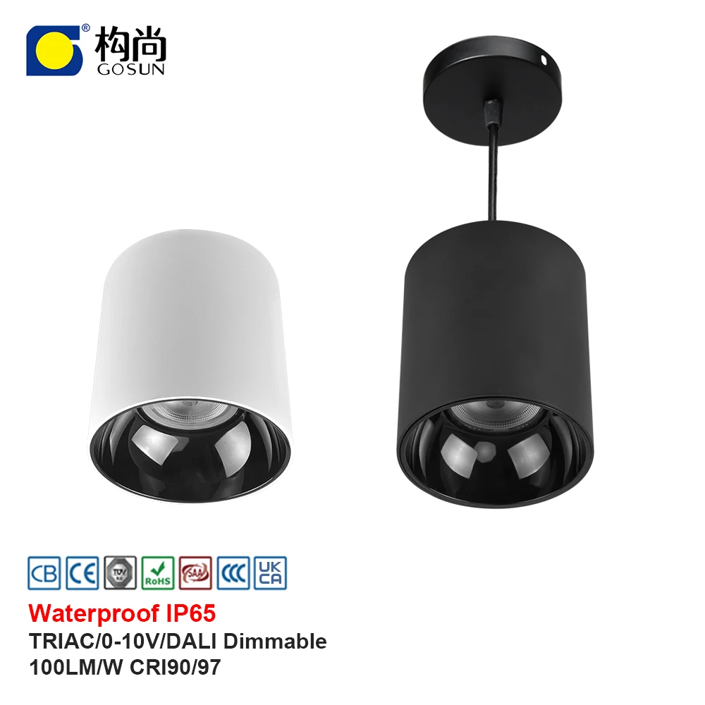 Suspended Can Light  downlight Ip65 Waterproof  COB Led Surface Mounted Downlight