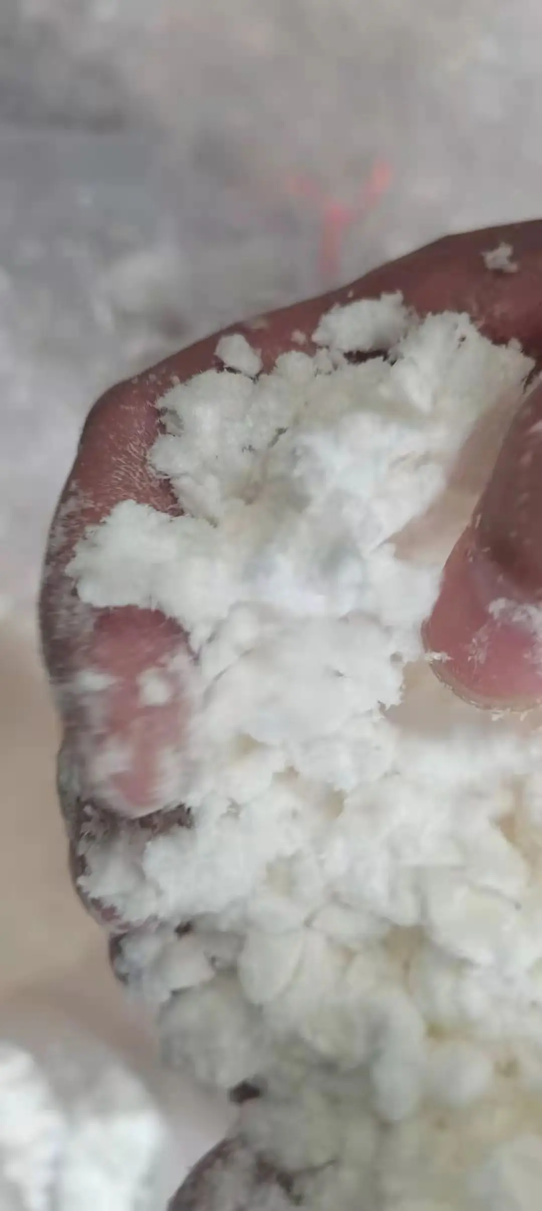 
Anti-Aging Cranberry Extract Proanthocyanidins Anthocyanins 