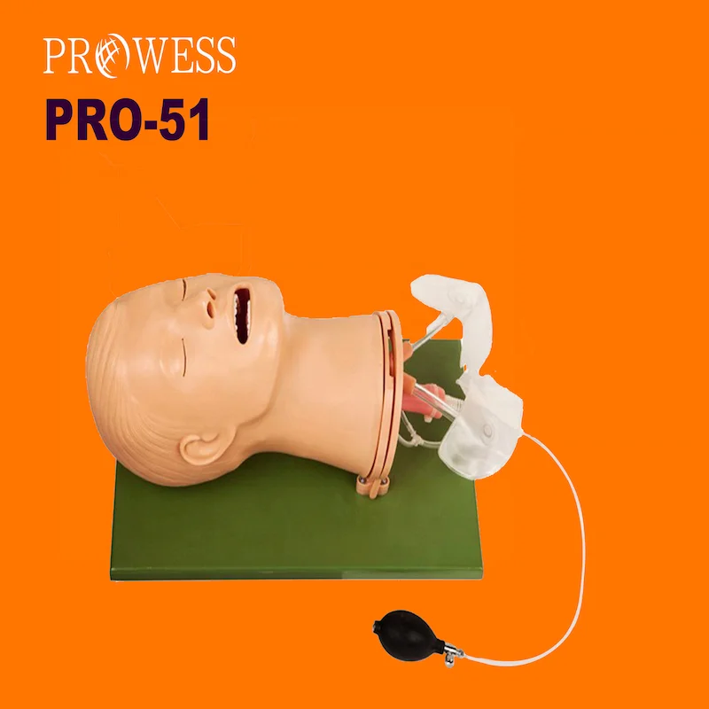 Медицинская модель интубации медицинской трахеи PRO-51, манекен для обучения медсестры