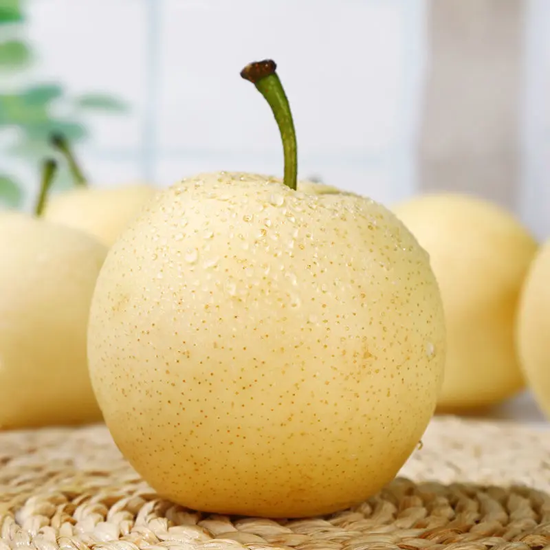 High quality of Chinese pear fruit crown pear new crop fresh pears price for Russia and Ecuador export from China