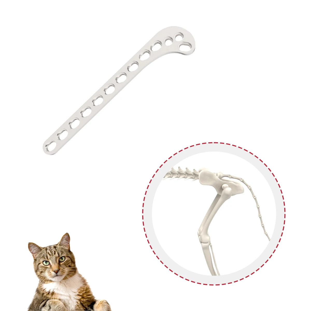 ZMD Stainless Steel Pet Animal Hospital Fracture Surgery 3.5mm Distal Femur Compression Vet Bone Plate