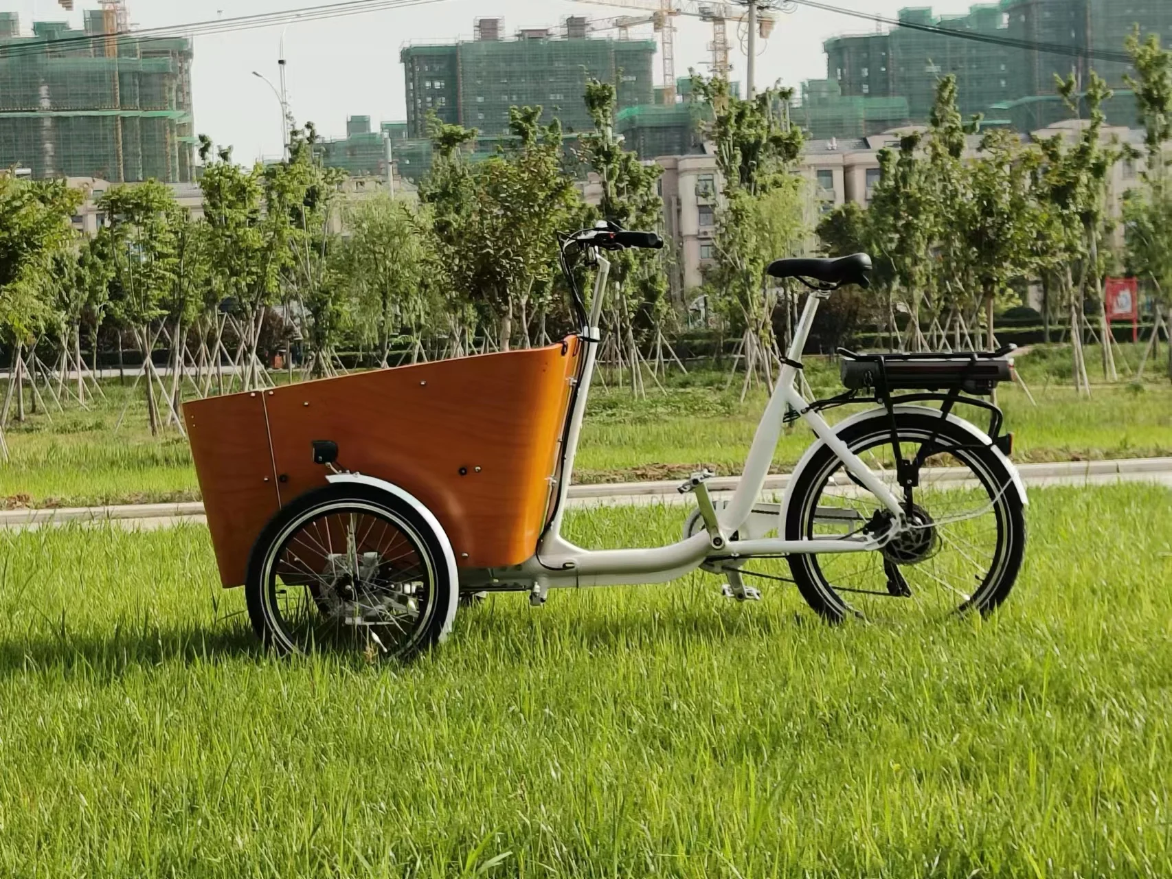 Europe Electric cargo trike CE family bike electric cargo bike three wheel electric cargo tricycle