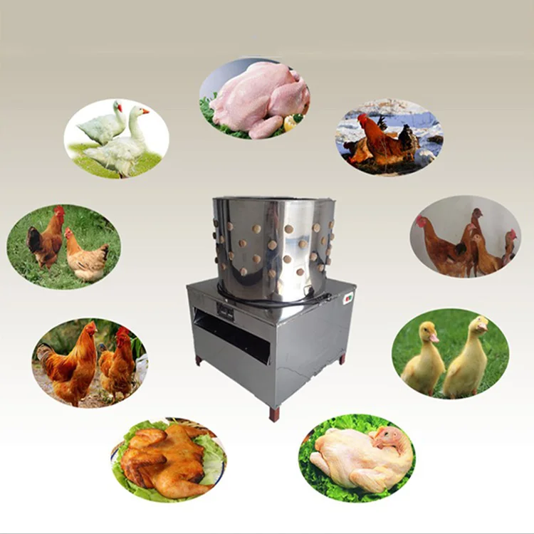 Chicken Plucker Machine Industrial Chicken Defeather Chickens Quail Plucker