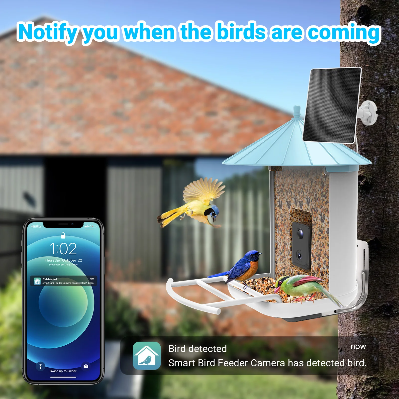 AI Recognize Bird Species Outdoor Wildlife Hummingbird Wifi Camera Capture Pictures Photos Video Smart Bird Feeder for Garden
