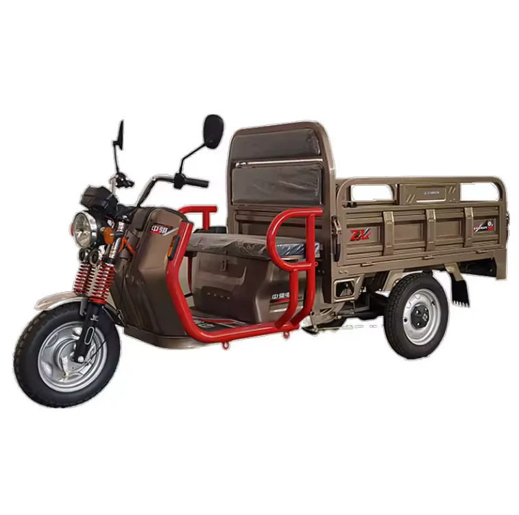 Electric Tricycle Best Safety and Popular 48/60V 1000W Three Wheeled Tricycle Cargo