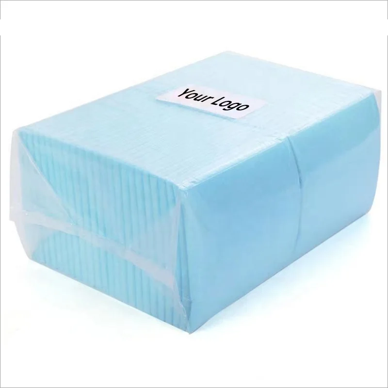 OEM 500 Gel Unscented Compostable Super Absorbent Potty Pee Training Cat Pet Puppy Dog Pads