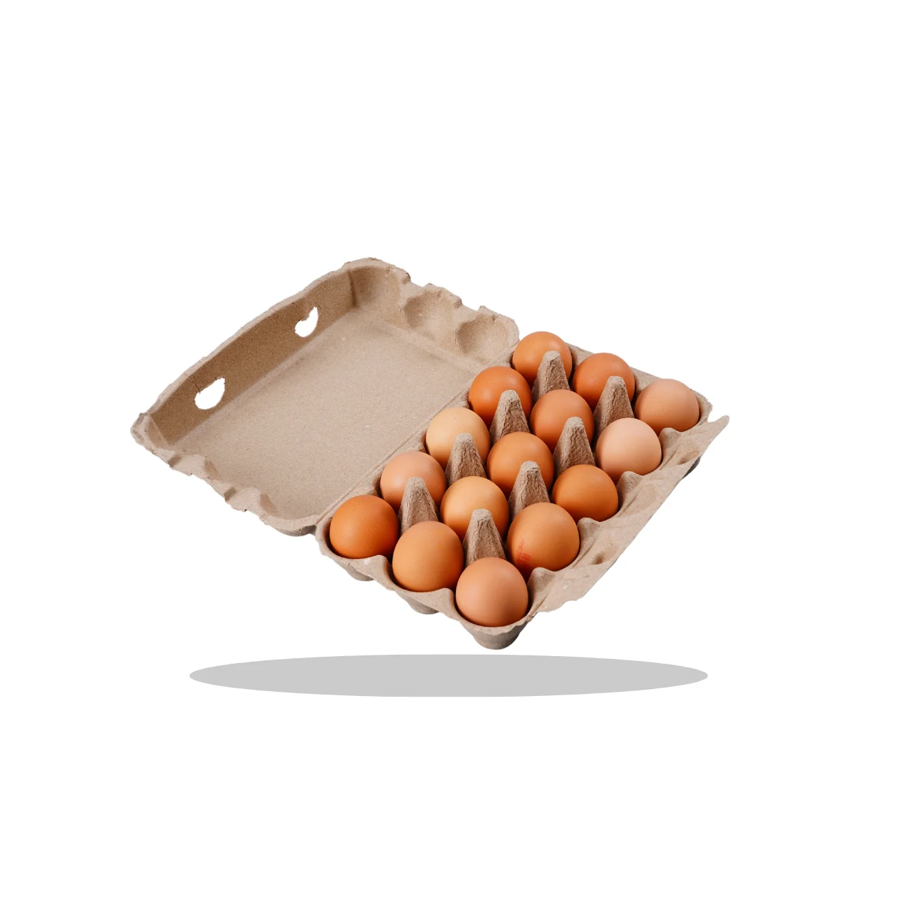 Manufacturing Moulded Pulp   15 18 20 30 cells Paper Pulp Chicken Eggs Holder Paper Egg Trays