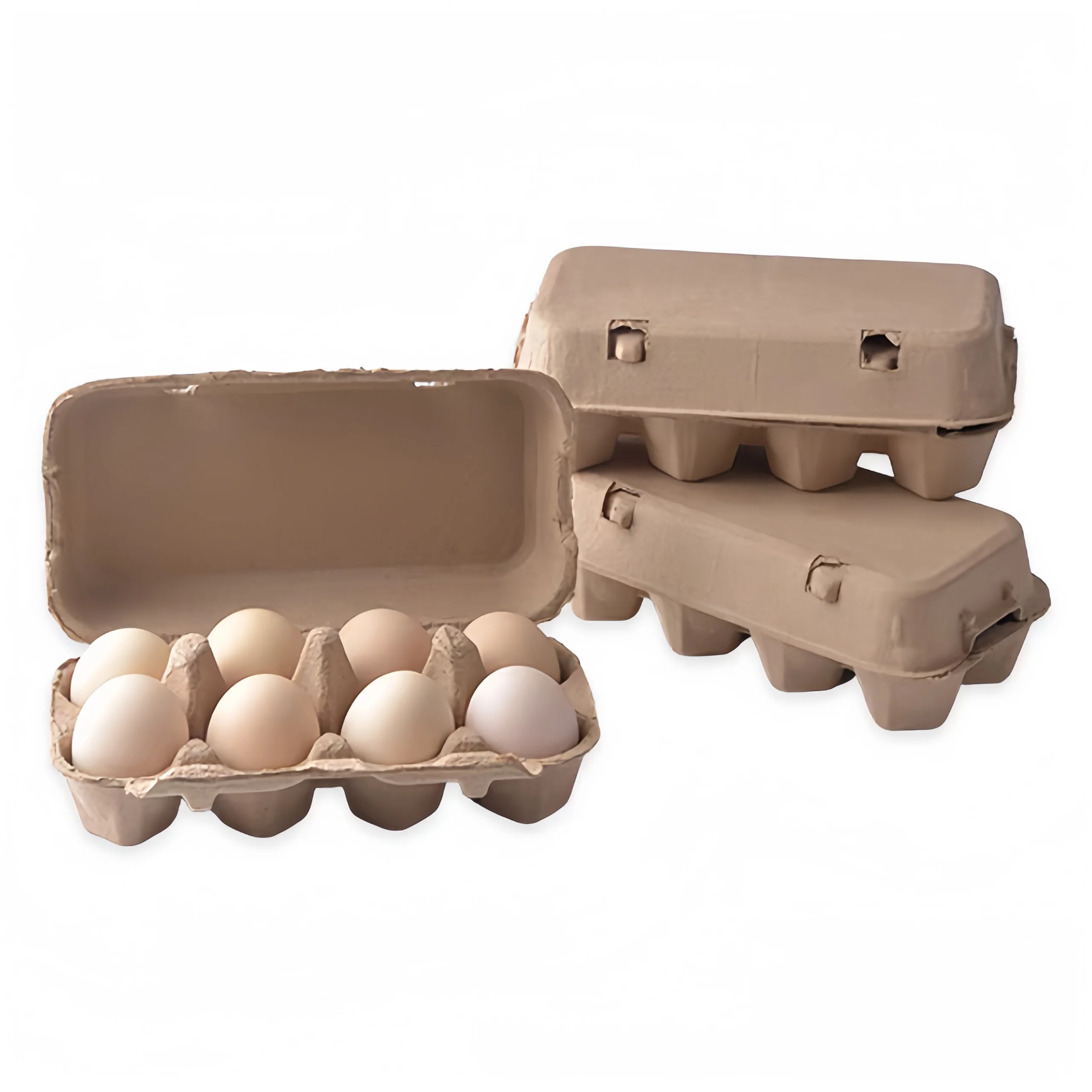 Custom Low Price Six Holds Biodegradable Paper Pack Duck Eggs Carton Tray Box